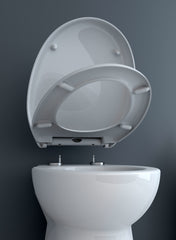 Sanimarin soft close toilet seat spare part | EYS
